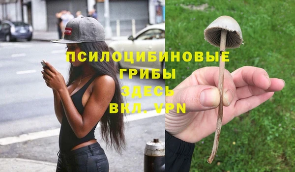 таблы Белоозёрский