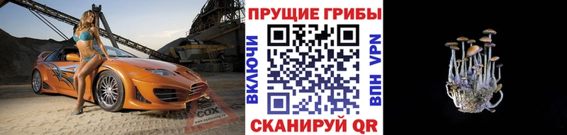 Галлюциногенные грибы ЛСД  Курчатов 